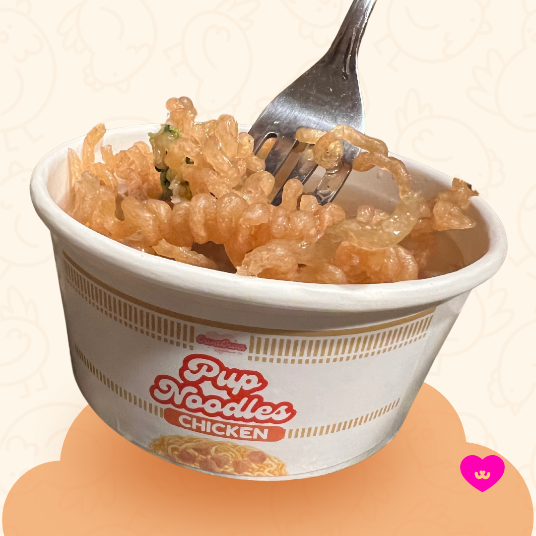 Owa Owa Pup Noodles Chicken – the original all-meat ramen noodles for dogs. Made with chicken breast, chicken bone broth powder, broccoli, and carrots. Healthy, species-appropriate dog treat with no fillers.