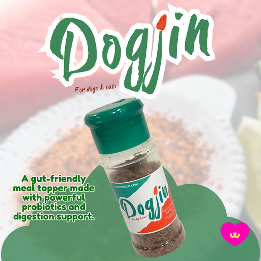 Owa Owa Dogjin functional dog and cat food topper made with beef green tripe and butternut squash. Rich in natural probiotics and digestive enzymes to support gut health, high fiber for tummy balance, and nutrient-dense ingredients that promote overall wellness and vitality for dogs.