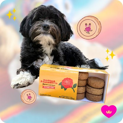 Dog enjoying Owa Owa Meatzapawn Cajita. Eight gut-friendly, soft treats made from turkey and goat milk yogurt. Perfect for picky eaters and pets with sensitive stomachs.