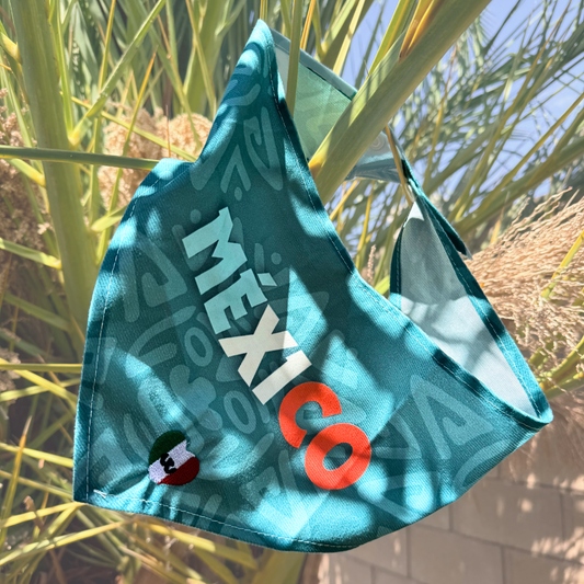 Mexico dog bandana, mexico jersey for dogs
