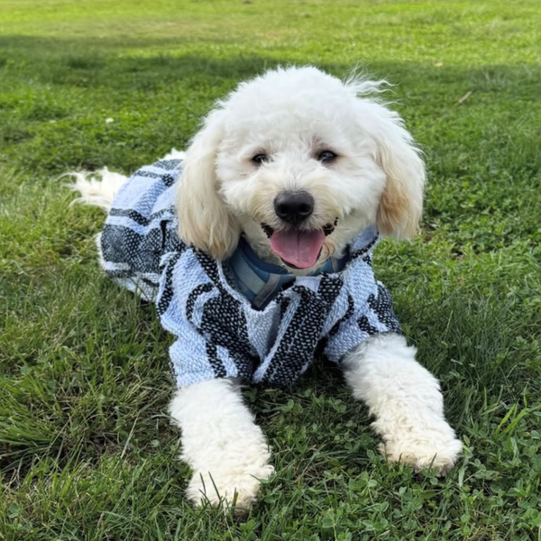 @obearandtbear ❤ Size: 4