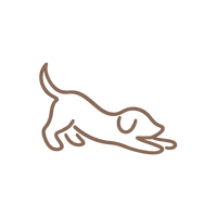 Joint Support & Mobility