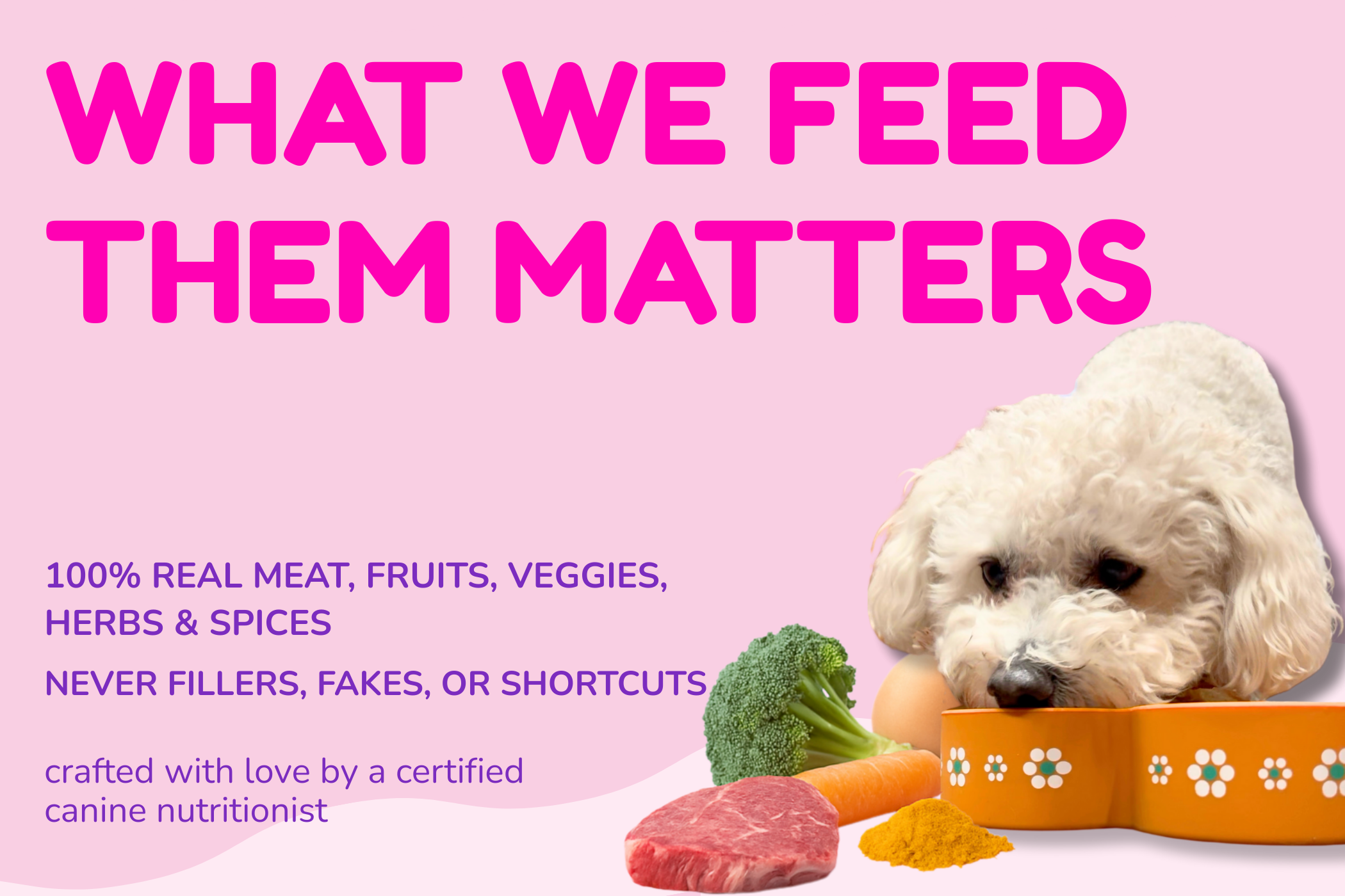 Owa Owa “What We Feed Them Matters” section with slogan “Treats made from real ingredients and real love.” Text explains that Owa Owa uses 100% real meat, fruits, veggies, herbs, and spices—never fakes or shortcuts—crafted by a certified canine nutritionist. Image shows dog Normi eating from a barro slow feeder next to whole food ingredients: cranberries, blueberries, beef chunks, chicken slices, beets, lamb, salmon, eggs, pepper, turmeric, green-lipped mussels, and bell peppers. Healthy dog treats