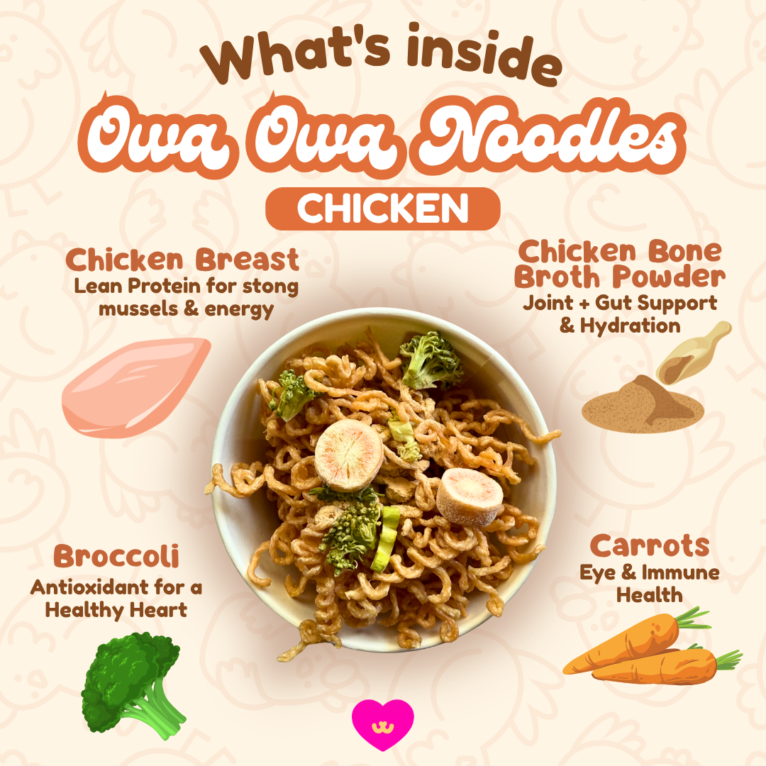 Owa Owa Noodles – Chicken